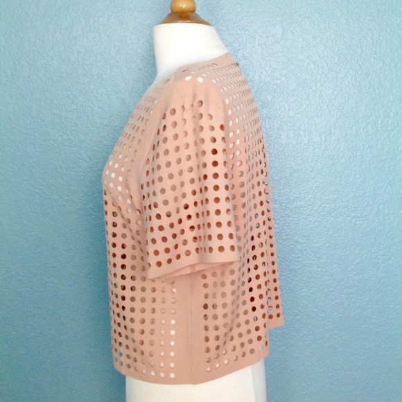 Lucy Paris Blush Laser Cut Blouse - Picture 2 of 3